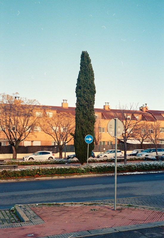 leica-cl-portra-800_6.jpg